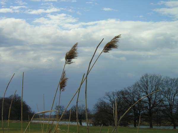 Am Khnauer See