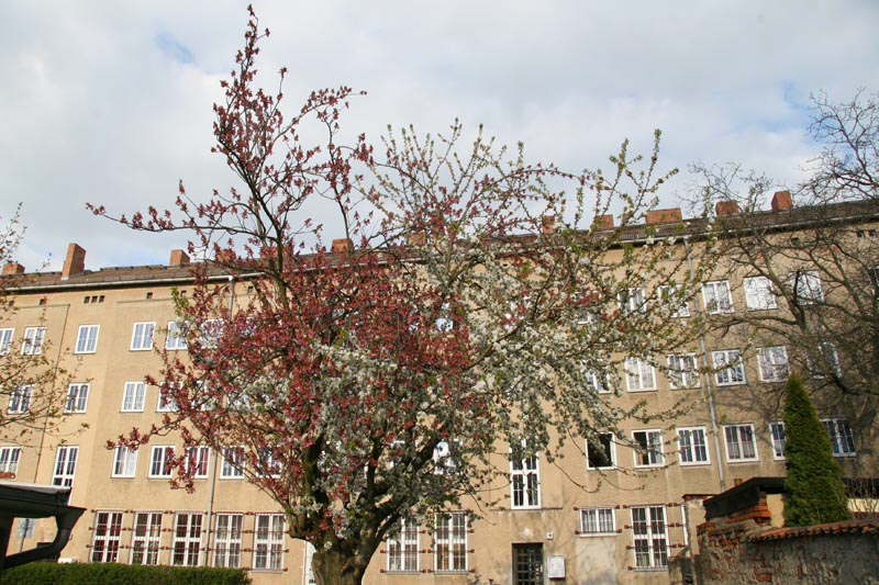 Frhling